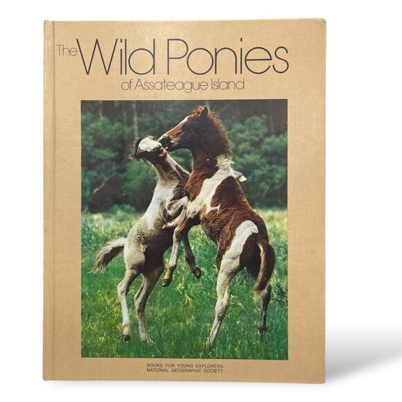 Three Little Indians Wild Ponies Assateague Island National Geographic Books - Picture 9 of 16